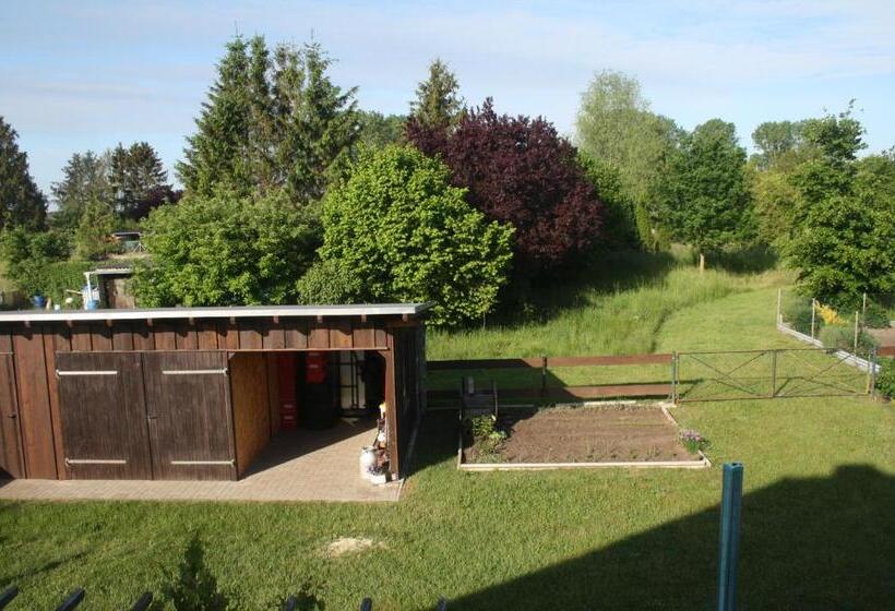 Wiesenblick