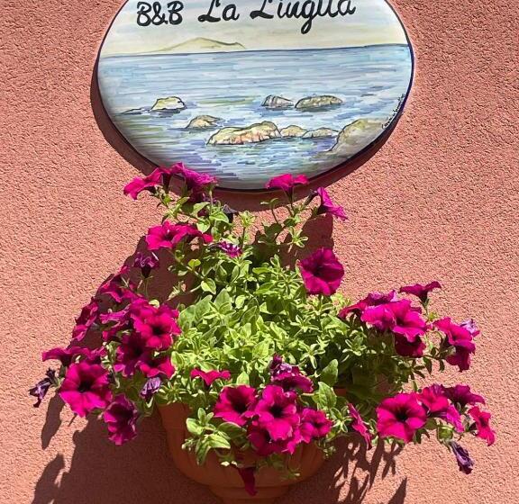B&b La Lingua