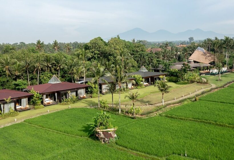 هتل Gdas Bali Health And Wellness Resort