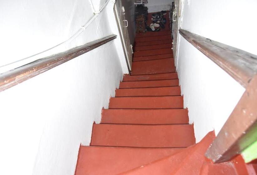 پانسیون Bababora House