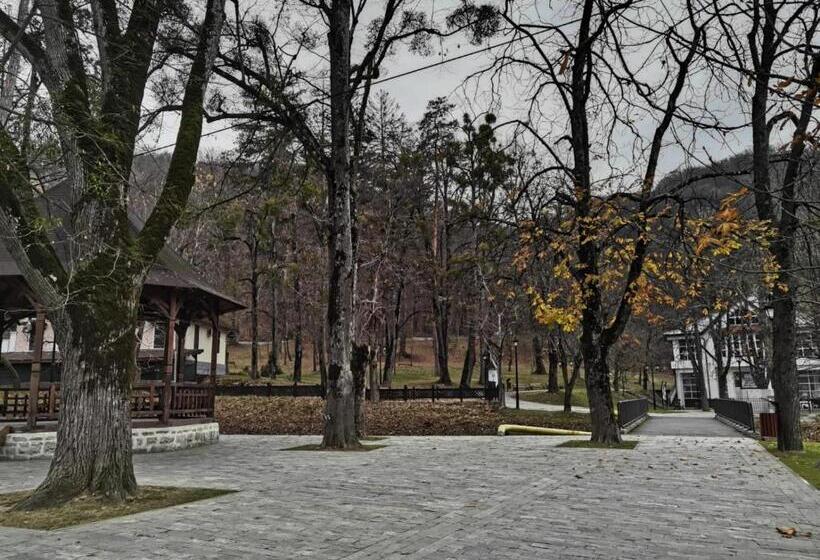 Pensiunea Doro