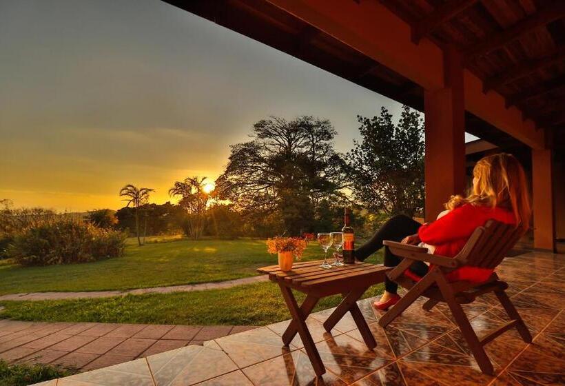Sunset Monteverde