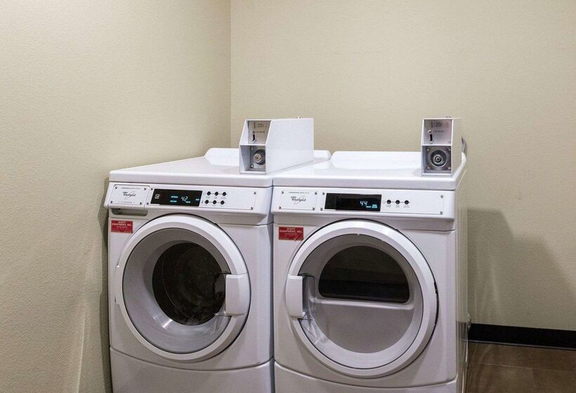 Fotos del hotel Comfort Suites Near Westchase On Beltway 8:  81