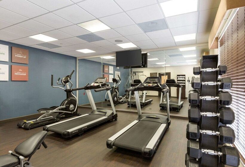 Fotos del hotel Comfort Suites Near Westchase On Beltway 8:  20