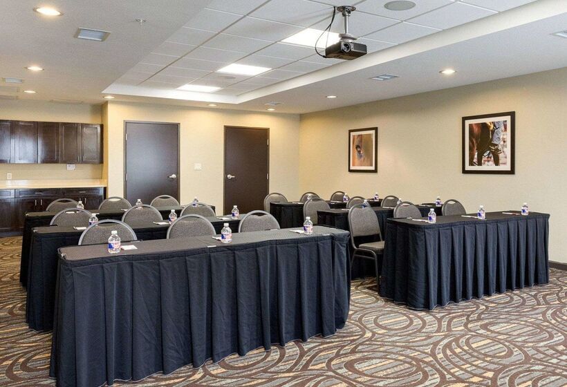 Fotos del hotel Comfort Suites Near Westchase On Beltway 8:  26