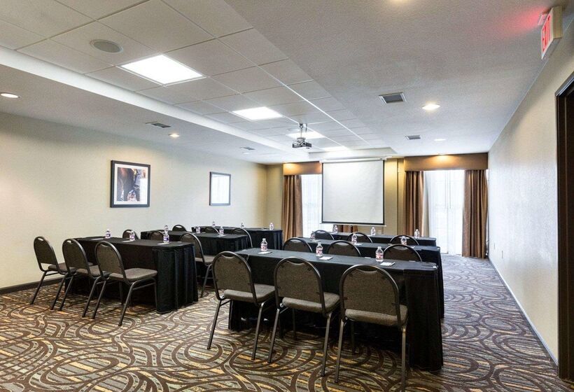 Fotos del hotel Comfort Suites Near Westchase On Beltway 8:  35