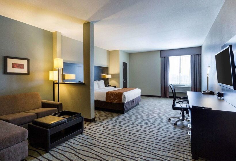 Fotos del hotel Comfort Suites Near Westchase On Beltway 8:  21