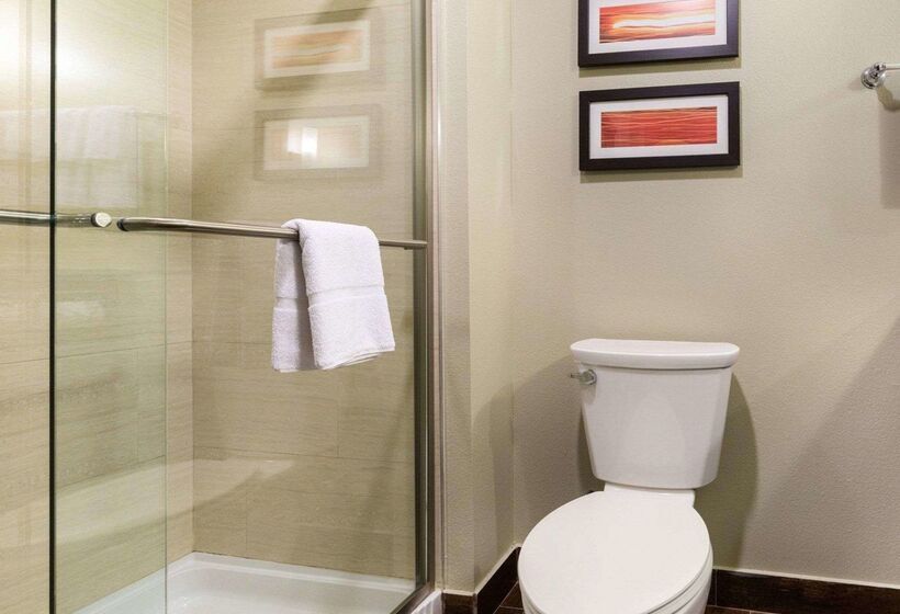 Fotos del hotel Comfort Suites Near Westchase On Beltway 8:  43