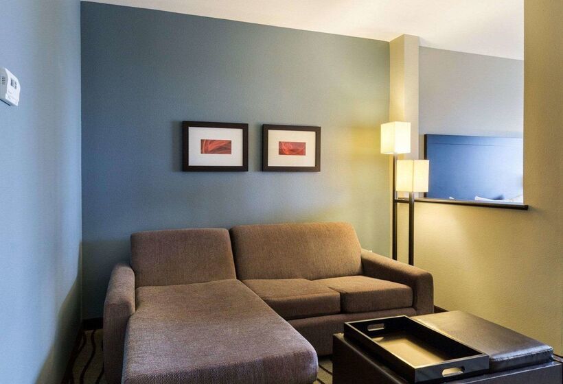 Fotos del hotel Comfort Suites Near Westchase On Beltway 8:  34