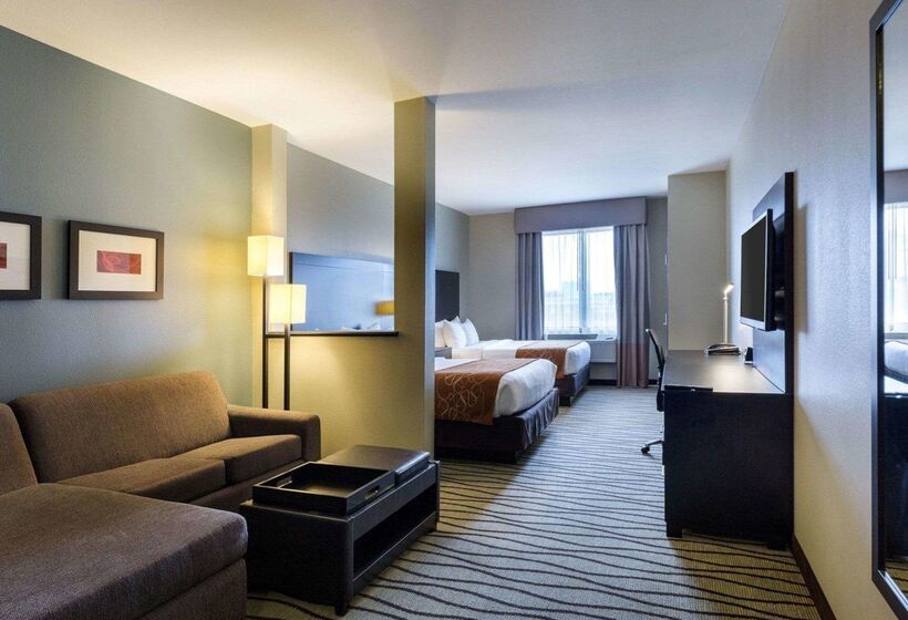 Fotos del hotel Comfort Suites Near Westchase On Beltway 8:  24