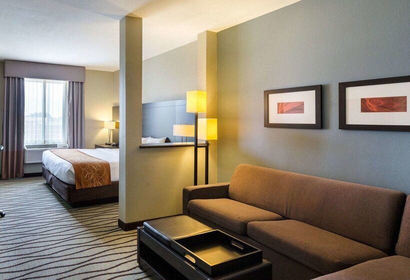 Fotos del hotel Comfort Suites Near Westchase On Beltway 8:  32