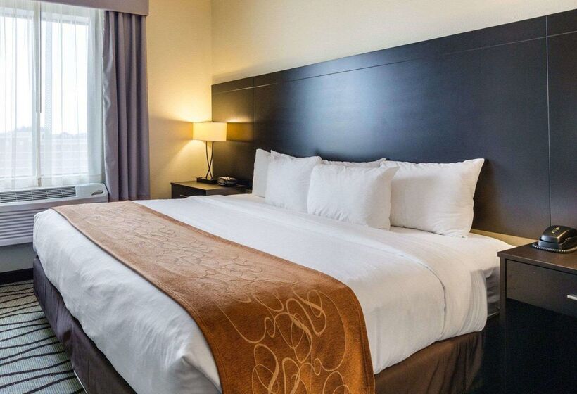 Fotos del hotel Comfort Suites Near Westchase On Beltway 8:  61