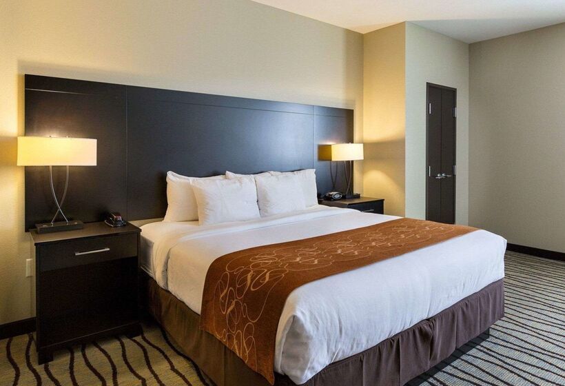 Fotos del hotel Comfort Suites Near Westchase On Beltway 8:  82