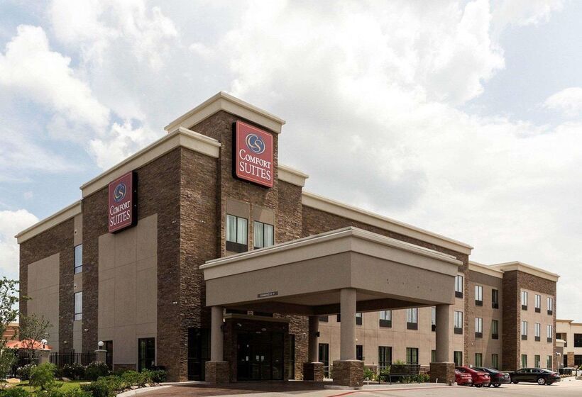 Fotos del hotel Comfort Suites Near Westchase On Beltway 8:  46