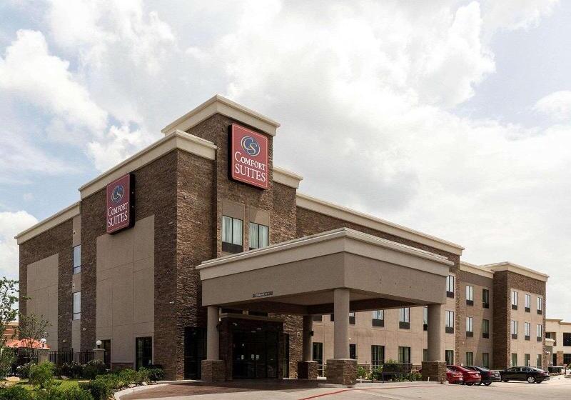 Fotos del hotel Comfort Suites Near Westchase On Beltway 8:  10