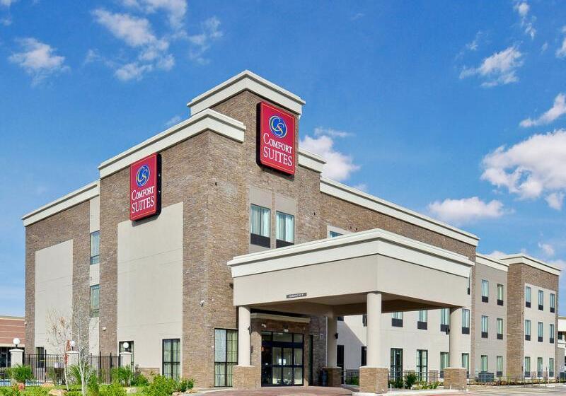 Fotos del hotel Comfort Suites Near Westchase On Beltway 8:  11