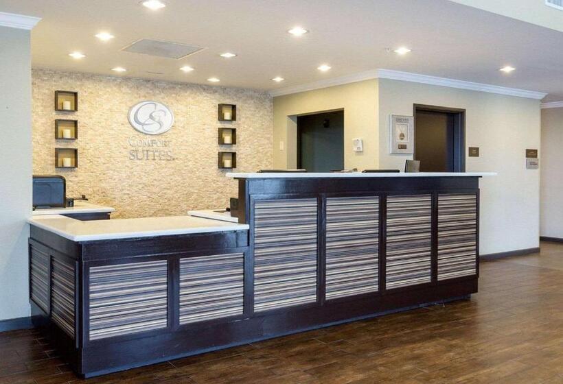 Fotos del hotel Comfort Suites Near Westchase On Beltway 8:  52