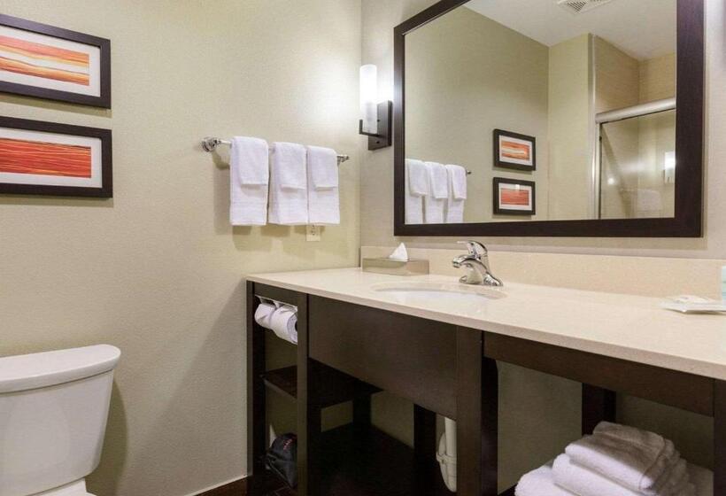 Fotos del hotel Comfort Suites Near Westchase On Beltway 8:  17