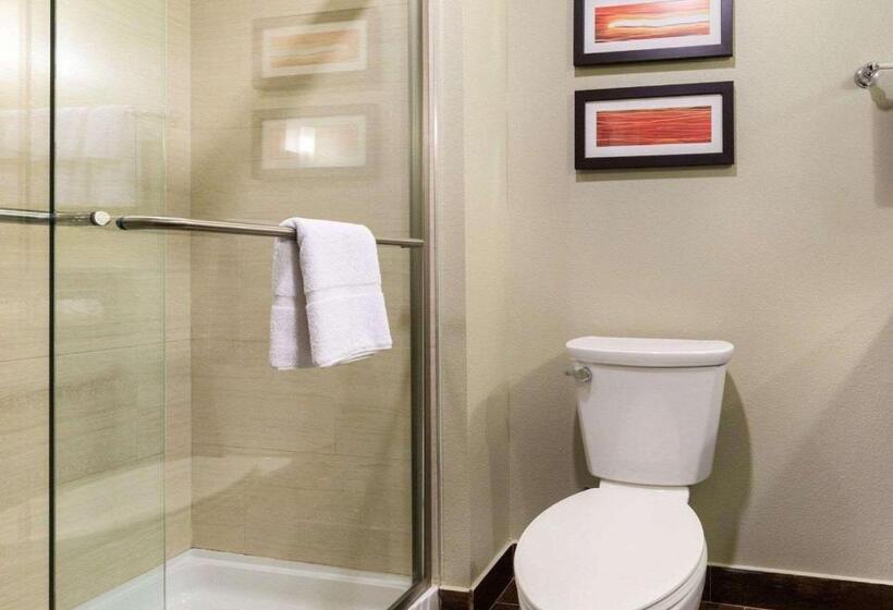 Fotos del hotel Comfort Suites Near Westchase On Beltway 8:  16