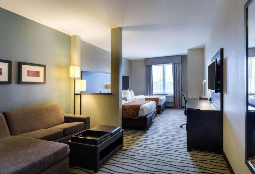 Fotos del hotel Comfort Suites Near Westchase On Beltway 8:  47