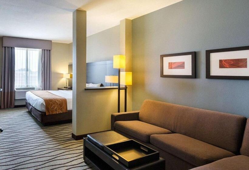 Fotos del hotel Comfort Suites Near Westchase On Beltway 8:  5