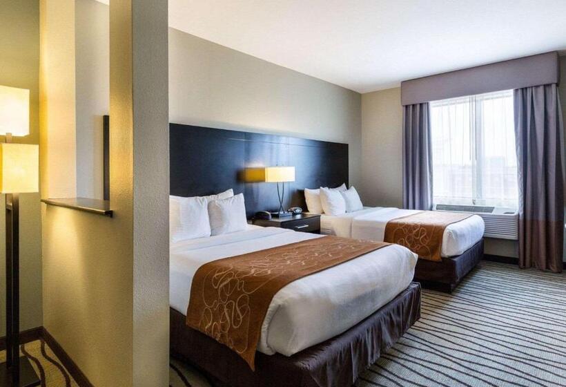 Fotos del hotel Comfort Suites Near Westchase On Beltway 8:  2