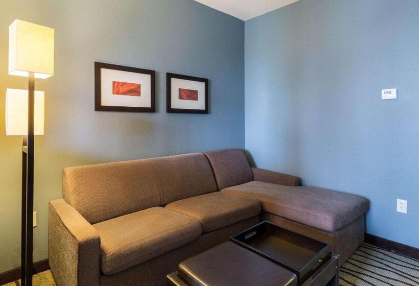 Fotos del hotel Comfort Suites Near Westchase On Beltway 8:  53