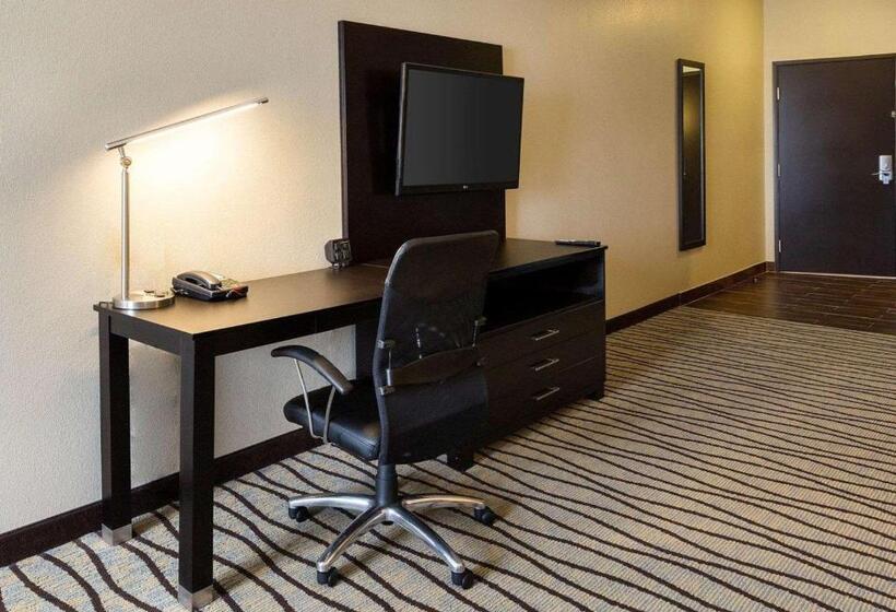 Fotos del hotel Comfort Suites Near Westchase On Beltway 8:  48