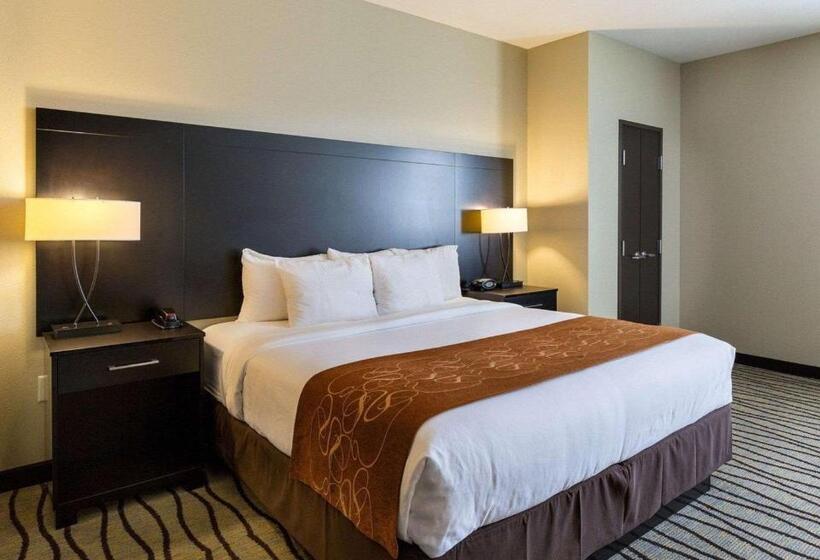 Fotos del hotel Comfort Suites Near Westchase On Beltway 8:  7