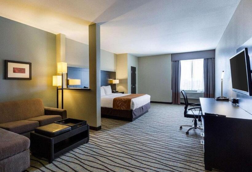 Fotos del hotel Comfort Suites Near Westchase On Beltway 8:  6