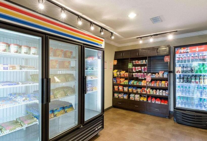 Fotos del hotel Comfort Suites Near Westchase On Beltway 8:  41