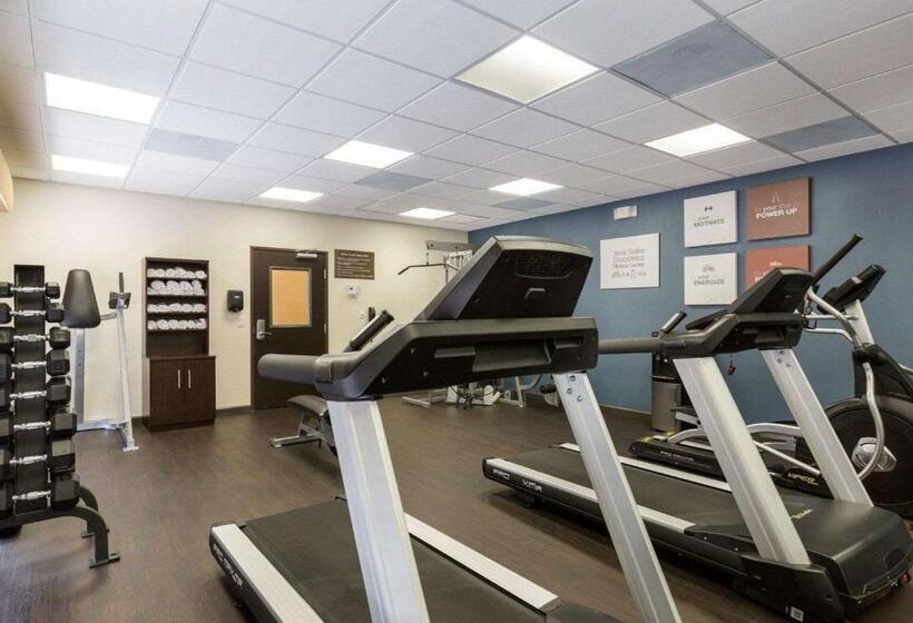 Fotos del hotel Comfort Suites Near Westchase On Beltway 8:  67