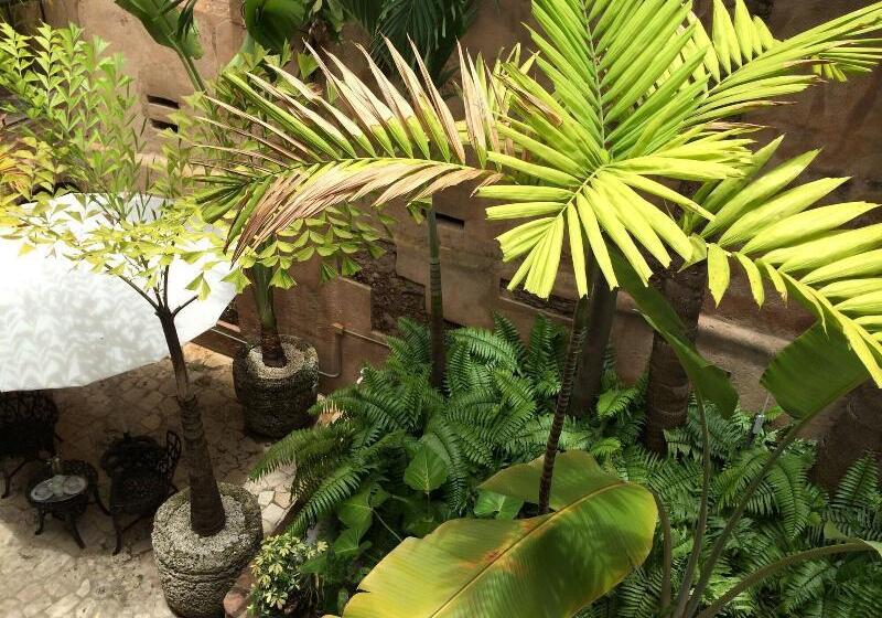 Fotos del hotel El Beaterio Casa Museo:  3