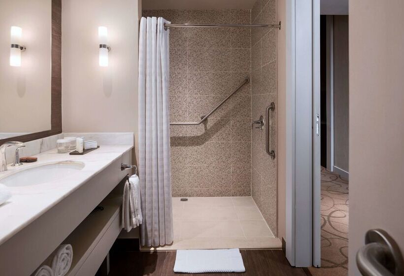 Fotos del hotel Embassy Suites By Hilton Santo Domingo:  28