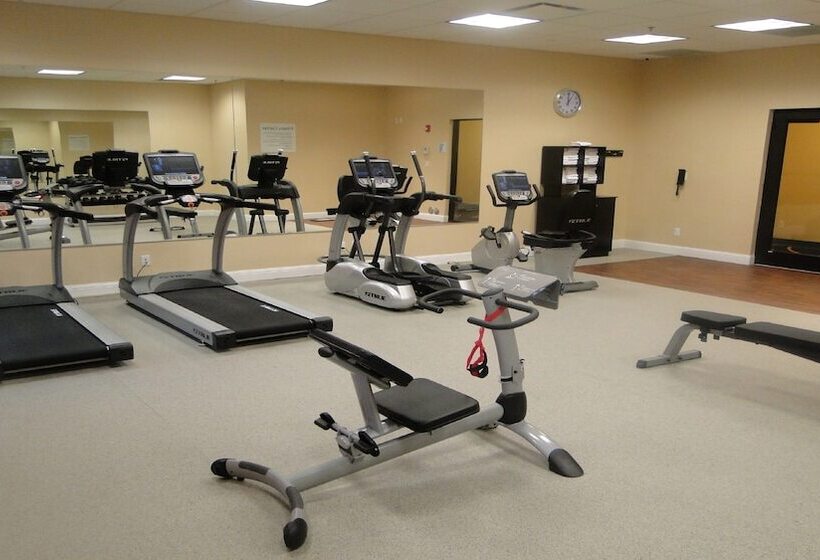 فندق Holiday Inn Express And Suites Columbia University Area, An Ihg