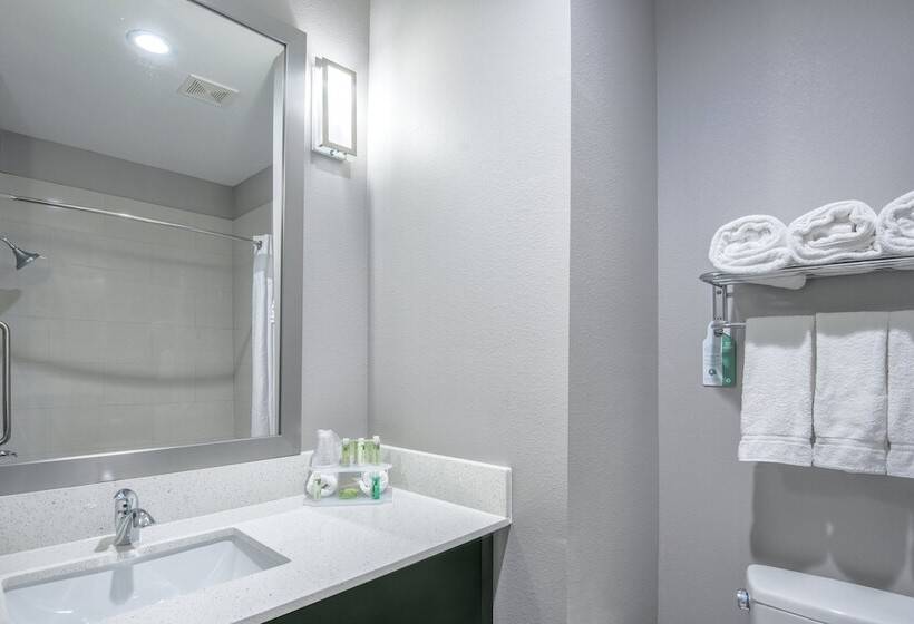 Fotos del hotel Holiday Inn Express And Suites Houston North - Iah Area, An Ihg:  48