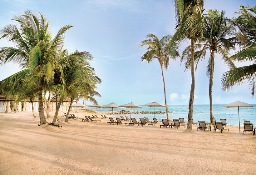 Fotos del hotel Hyatt Zilara Rose Hall Adults Only - All Inclusive:  21