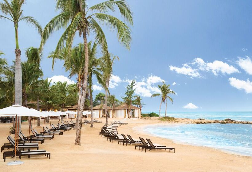 Fotos del hotel Hyatt Zilara Rose Hall Adults Only - All Inclusive:  40