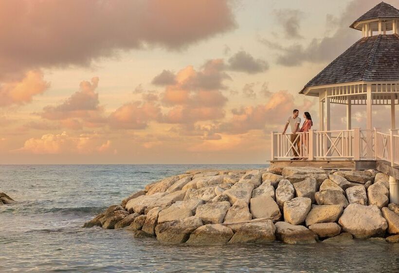 Fotos del hotel Hyatt Zilara Rose Hall Adults Only - All Inclusive:  48