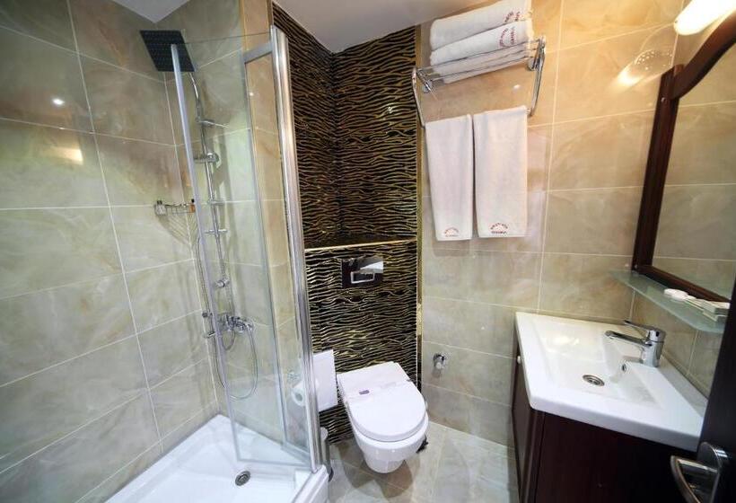 Fotos del hotel Istanbul Newcity:  21