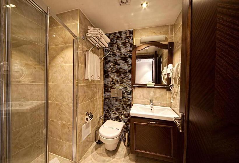 Fotos del hotel Istanbul Newcity:  29