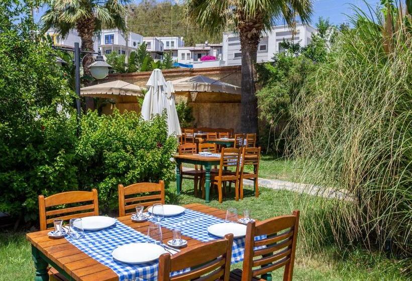 فندق La Brezza Suite &