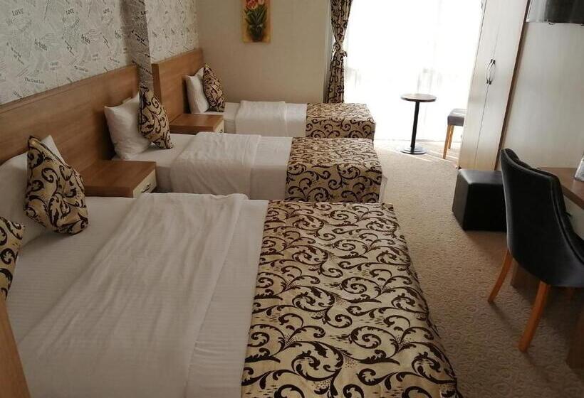 Fotos del hotel Nice Royal Otel:  7