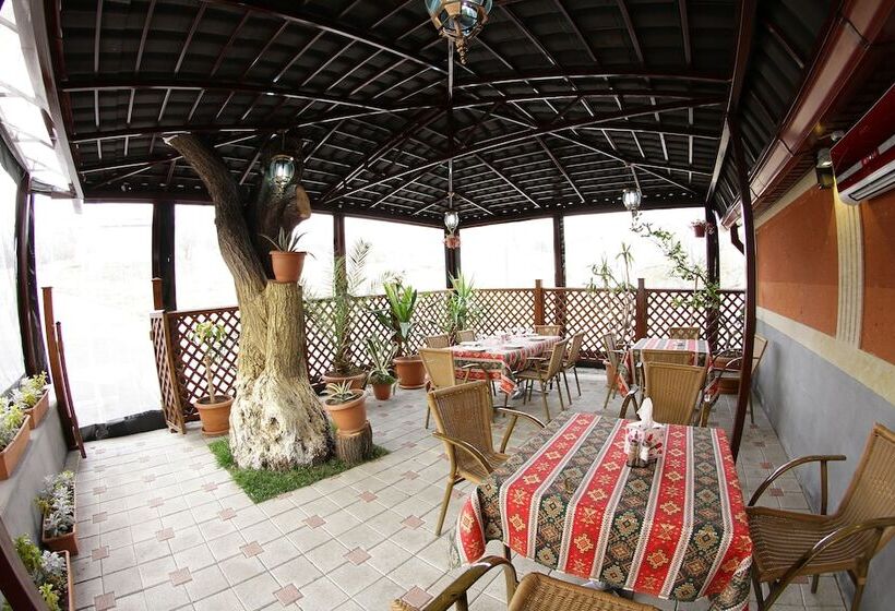 Fotos del hotel Roma & Tours:  35