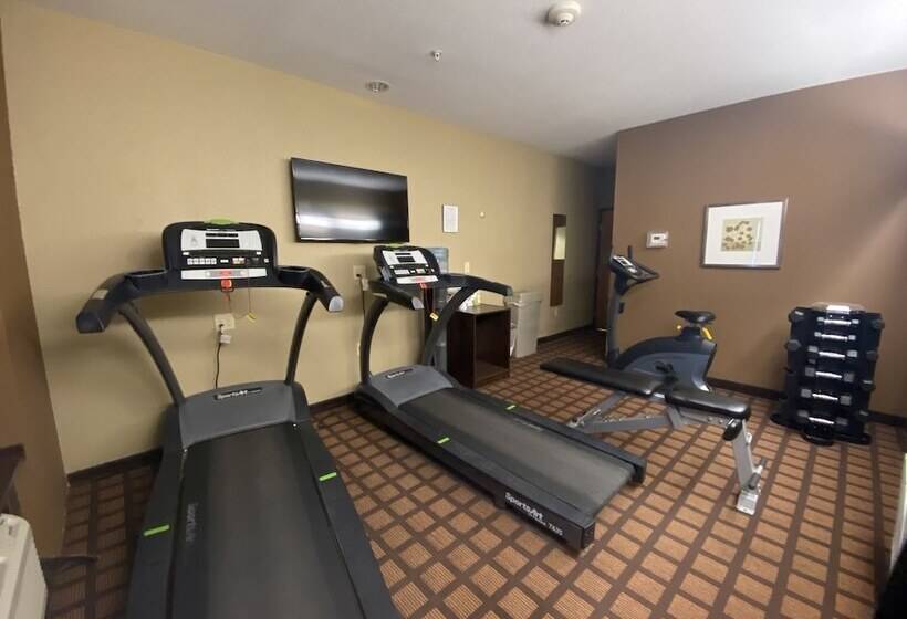 Microtel Inn & Suites By Wyndham Kenedy/karnes City