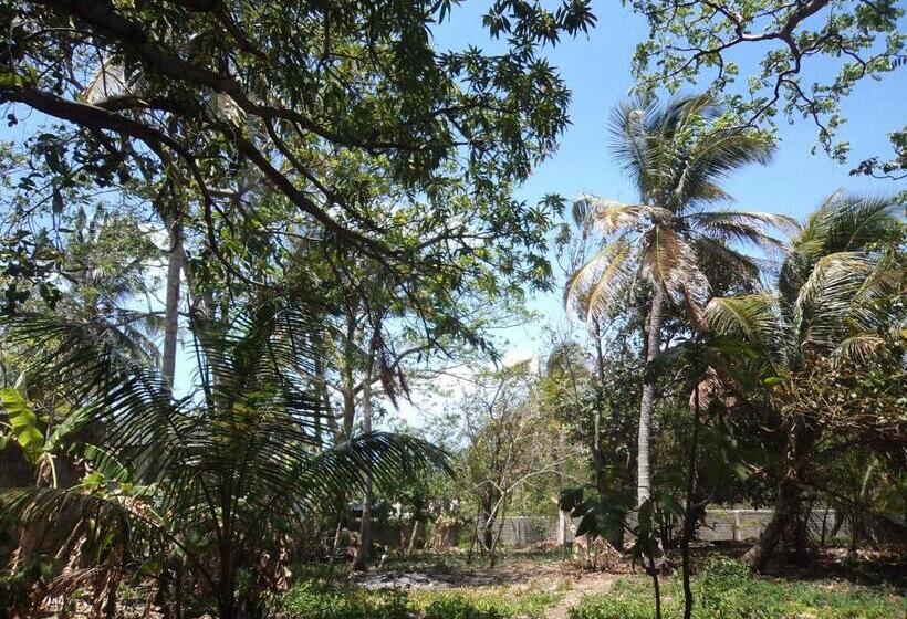 هاستل Posada Nativa Shingle Hill