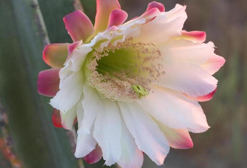 B&b Al Salvatore Di Lipari