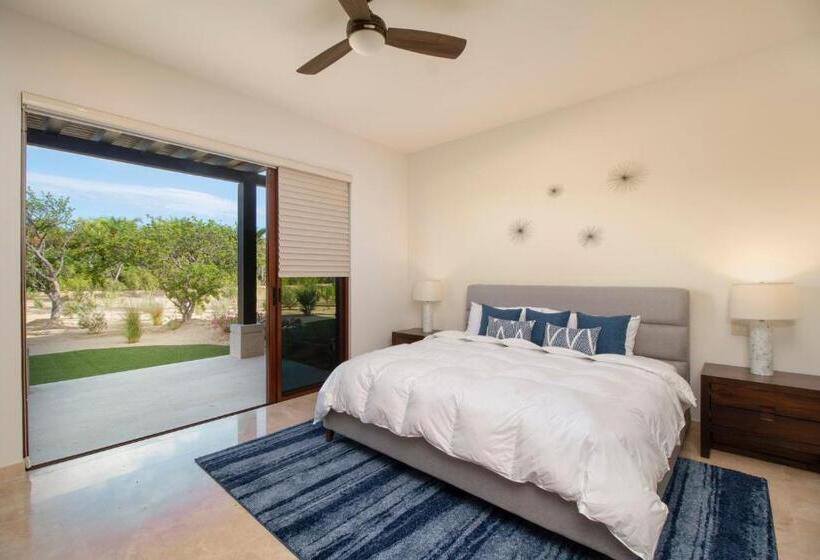 Bohari Palmilla
