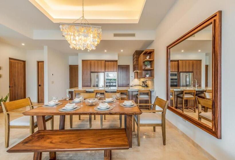 Bohari Palmilla