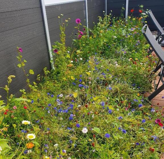 Ferienhaus Wiesenpieper